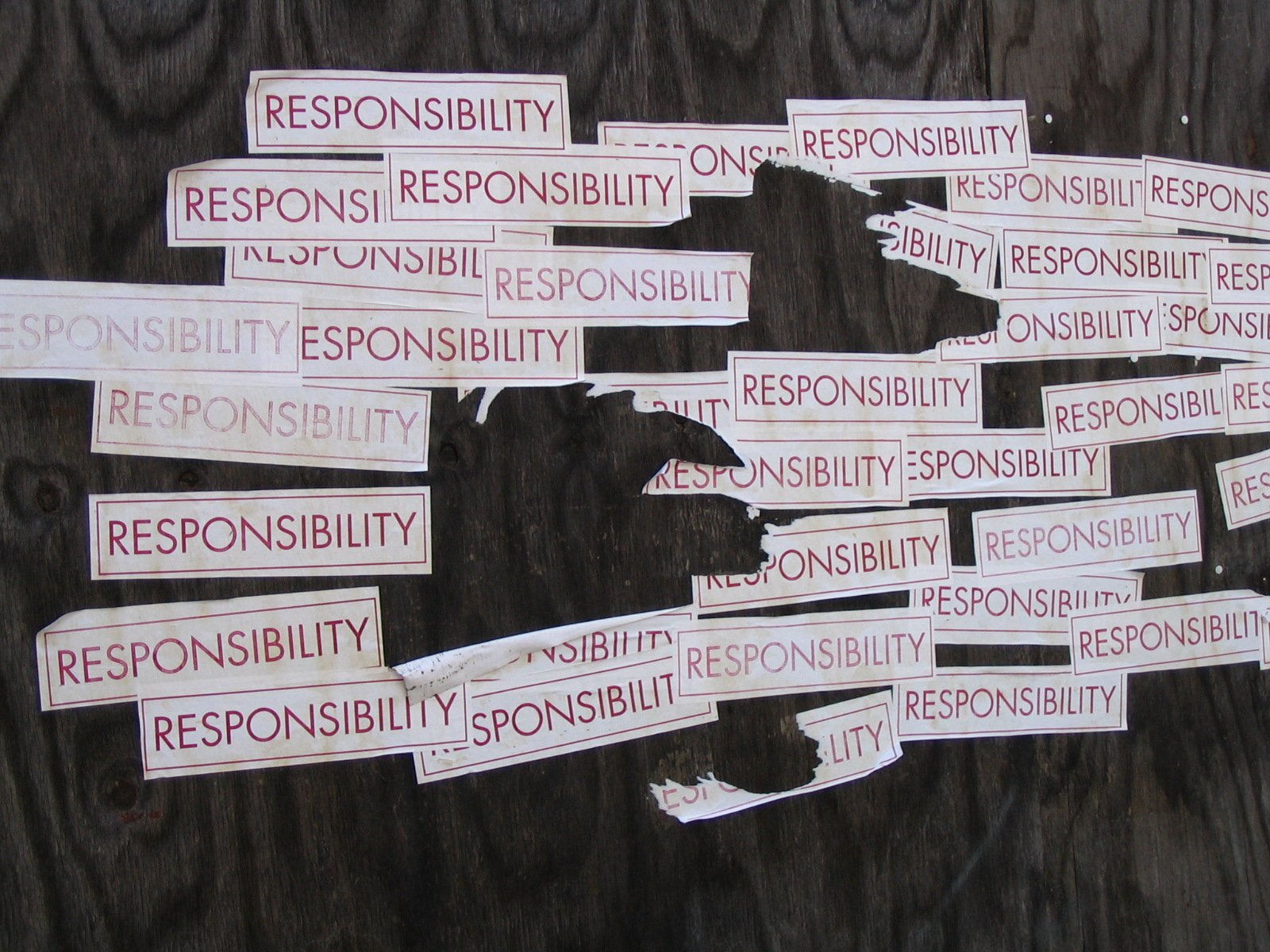 responsibility-1540041.jpg